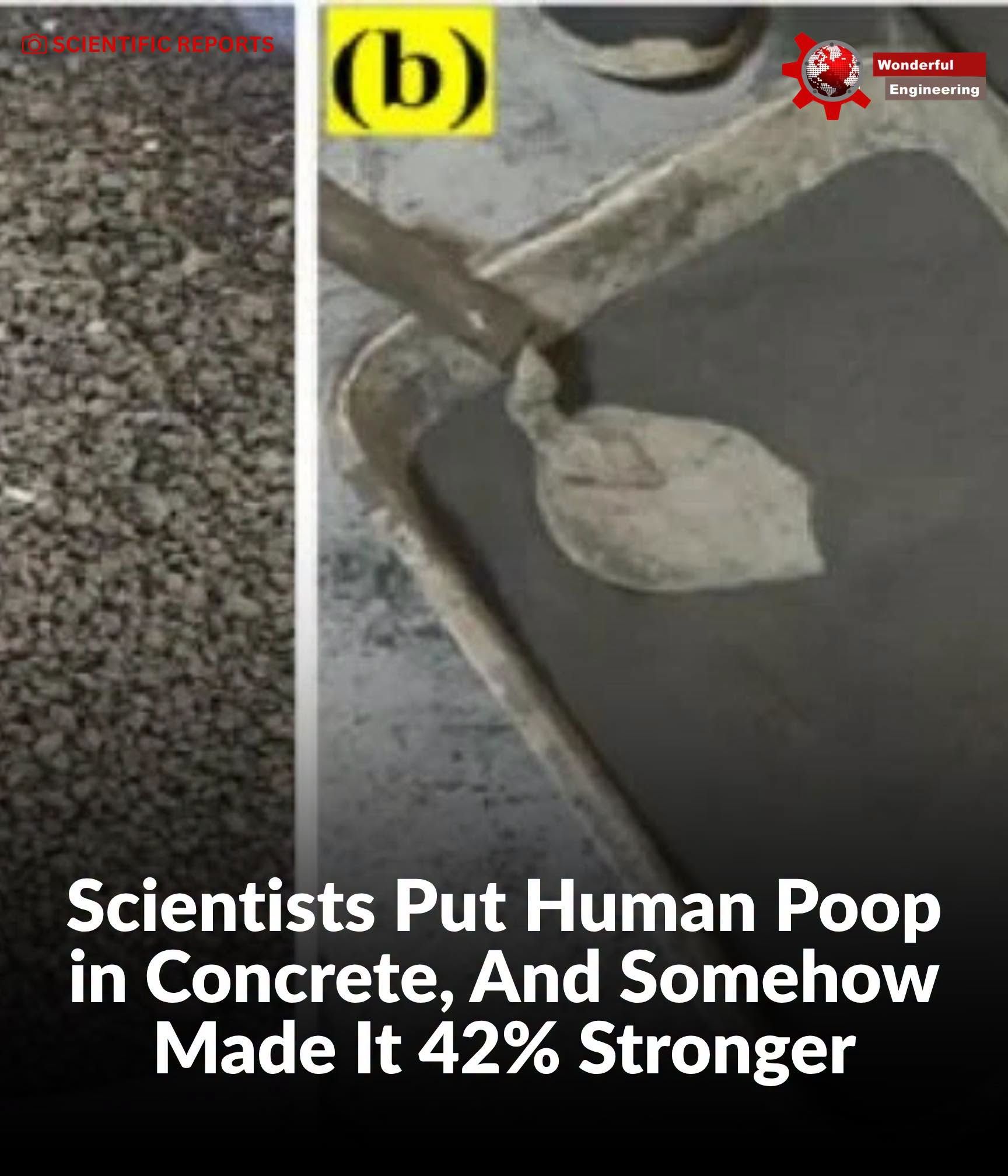"Researchers in India may have found an unusual way to..."