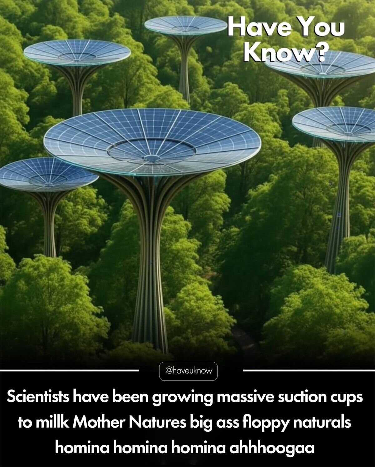 S U C C