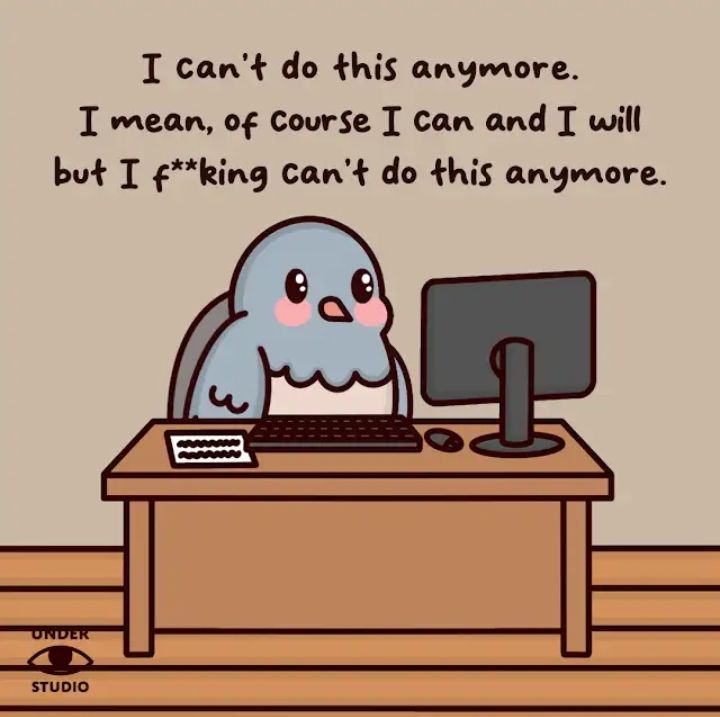 I really can't