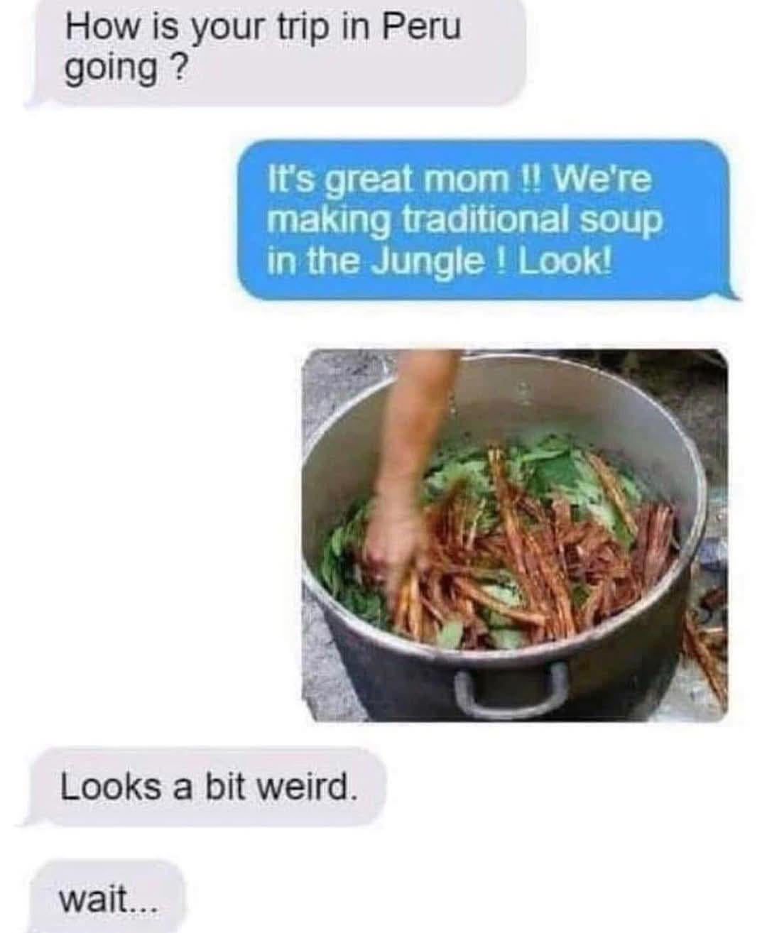 the forbidden soup