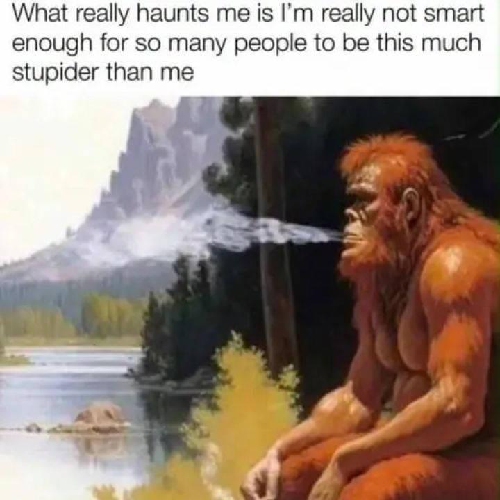 ʕ ಠ _ ಠ ʔ