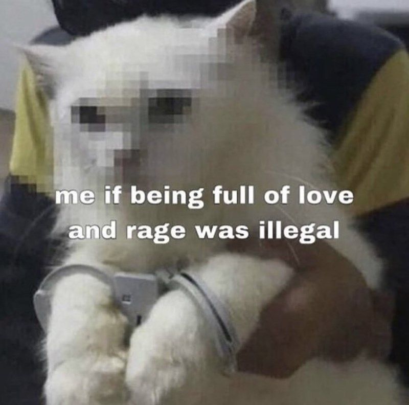 Mama I'm a Criminal