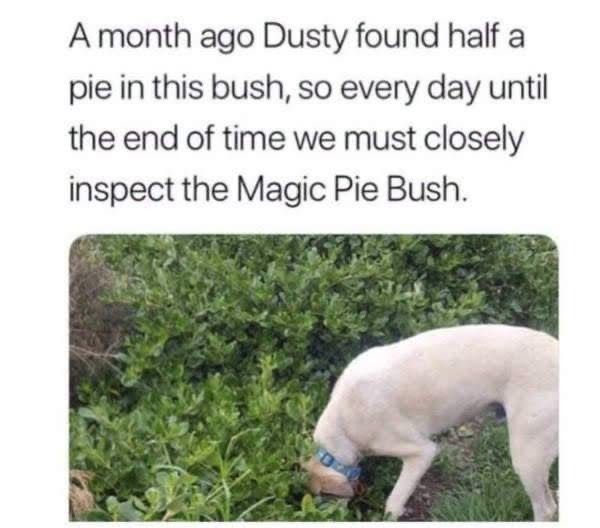 Hugelol can have a little wholesome content, as a treat