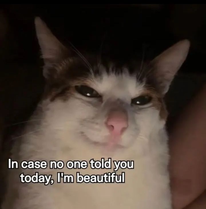 nyehehehe