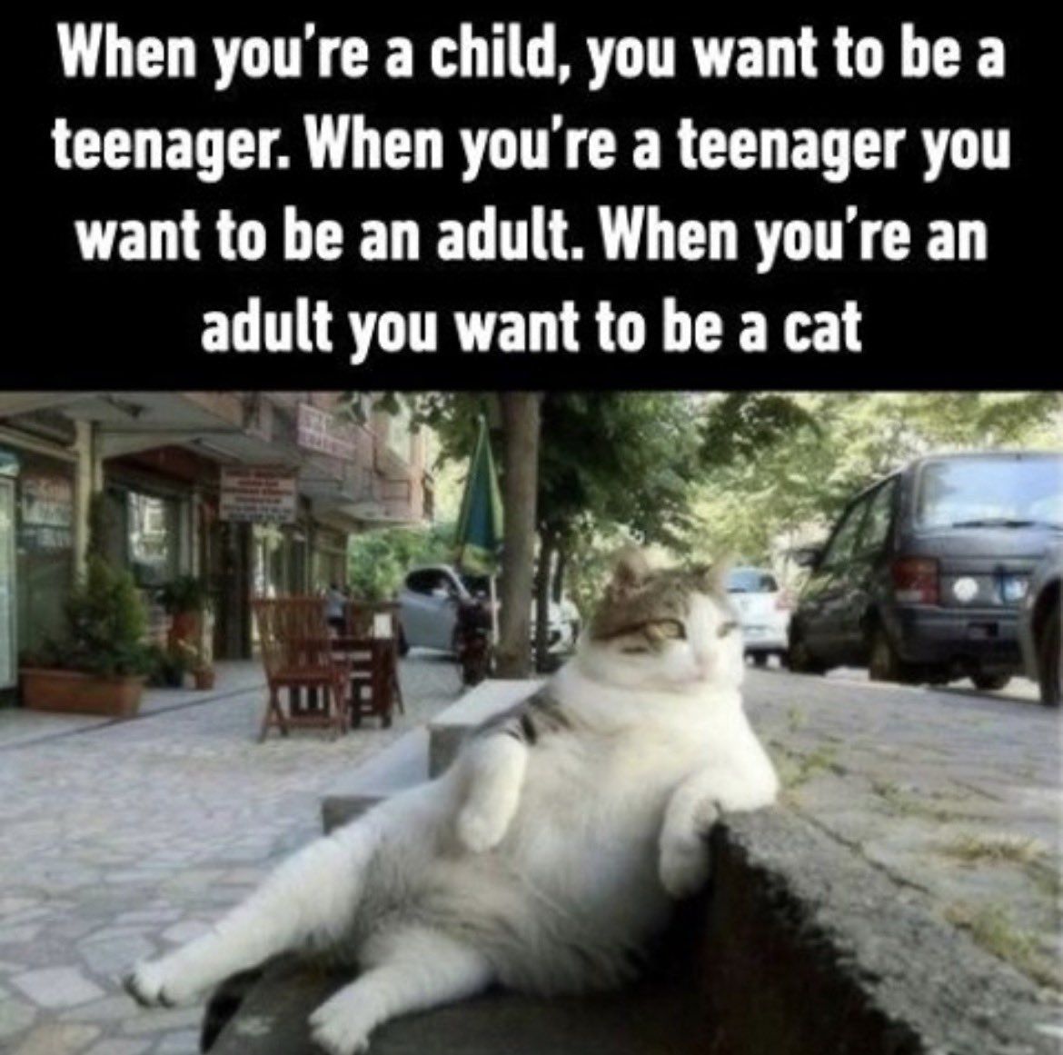 ***