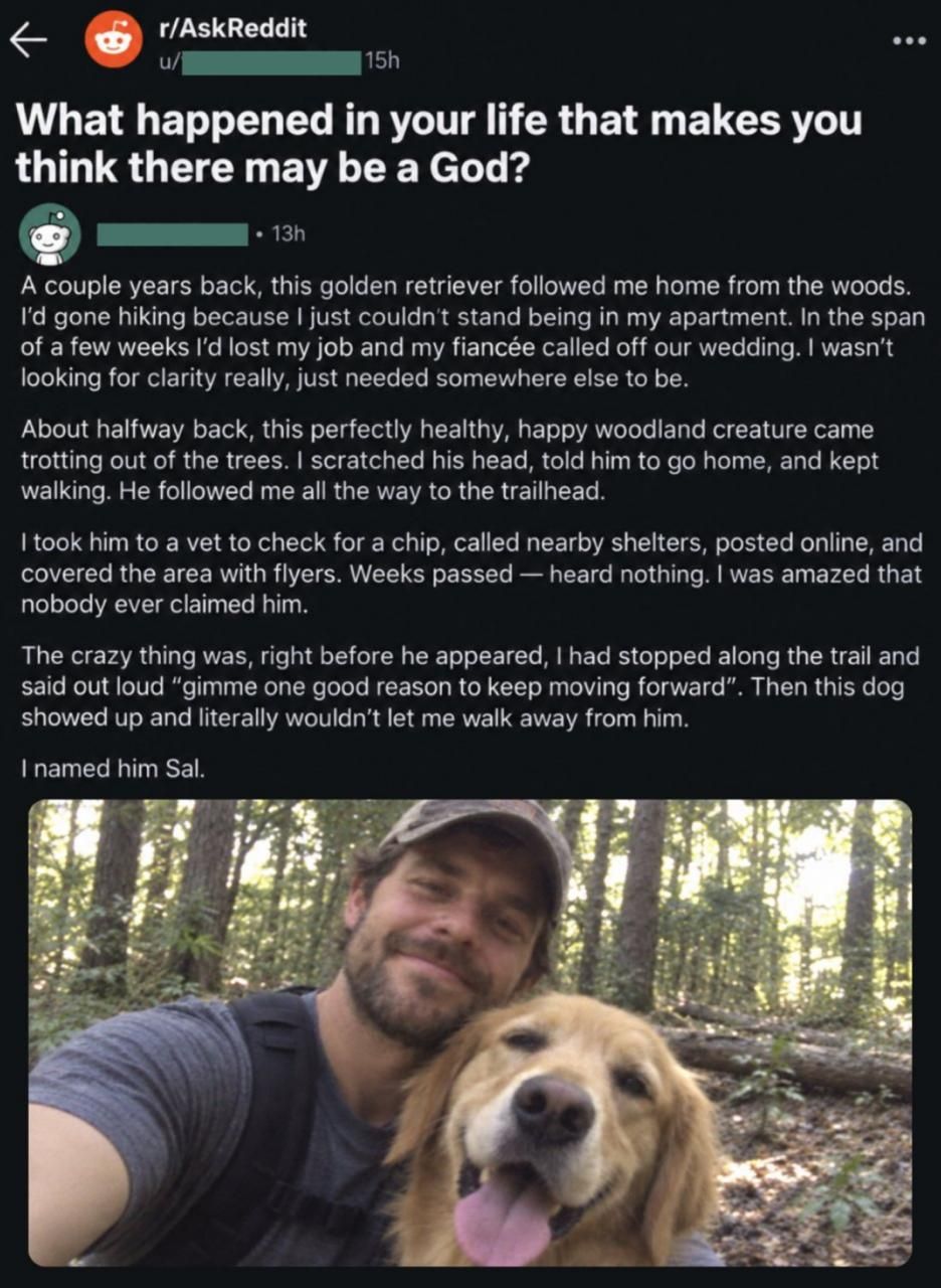 Wholesome