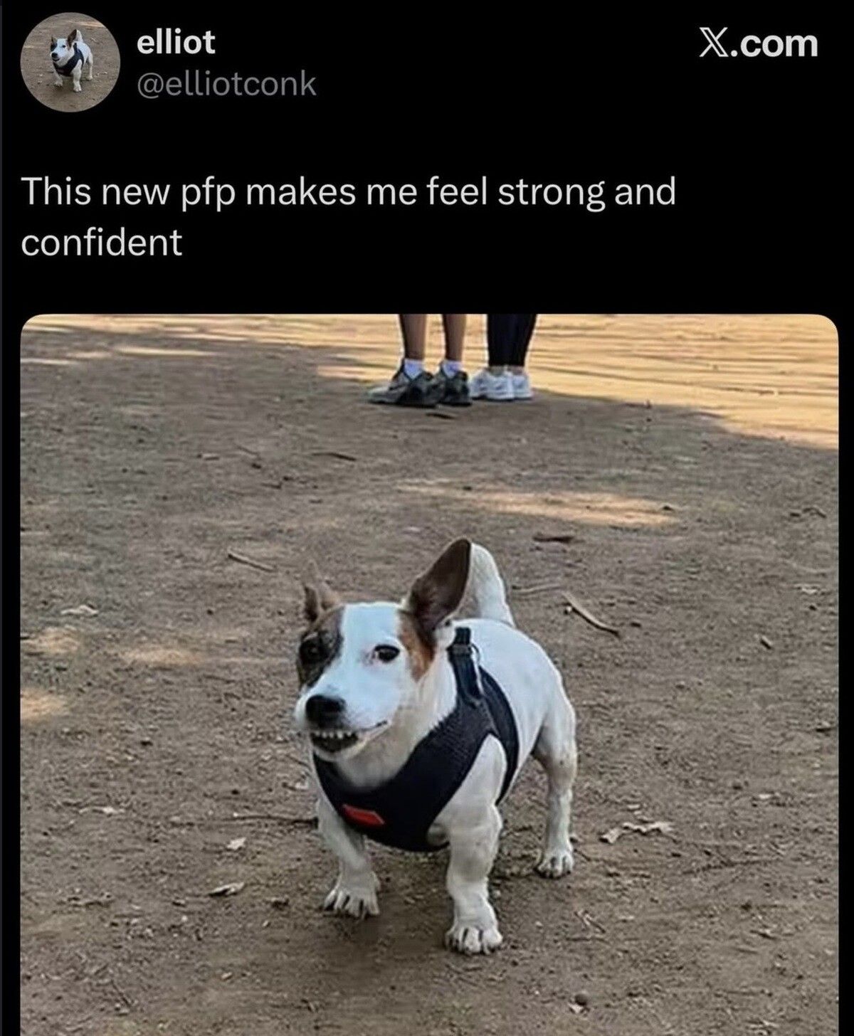 Doog