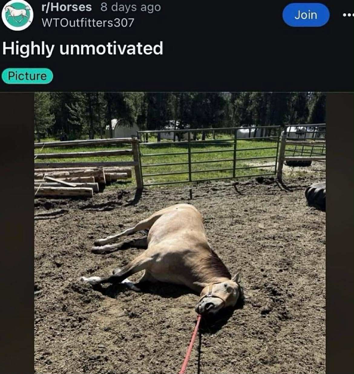 Try flogging it