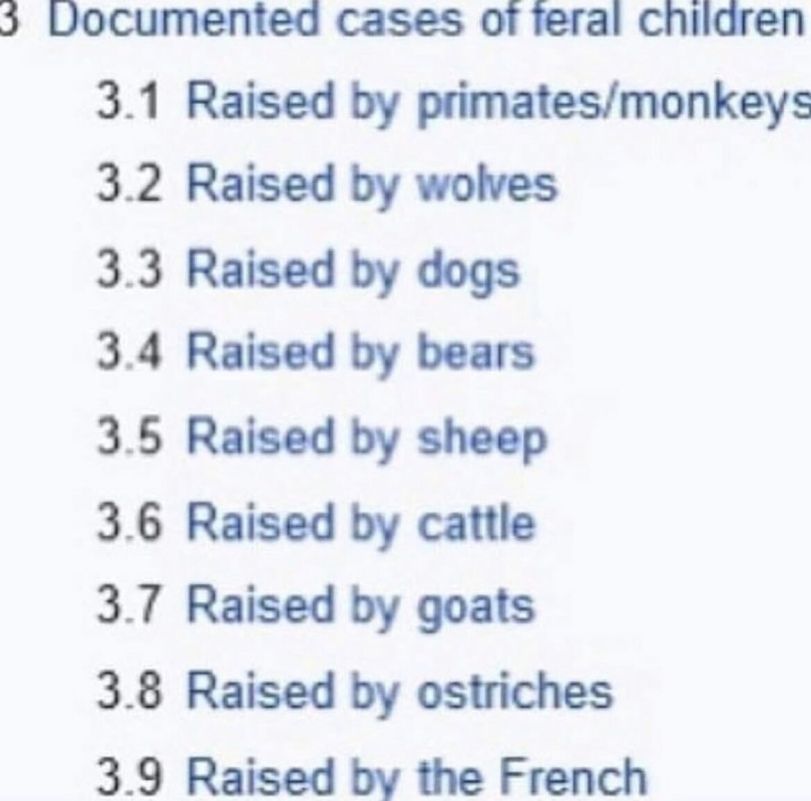 Raised by Fr*nch