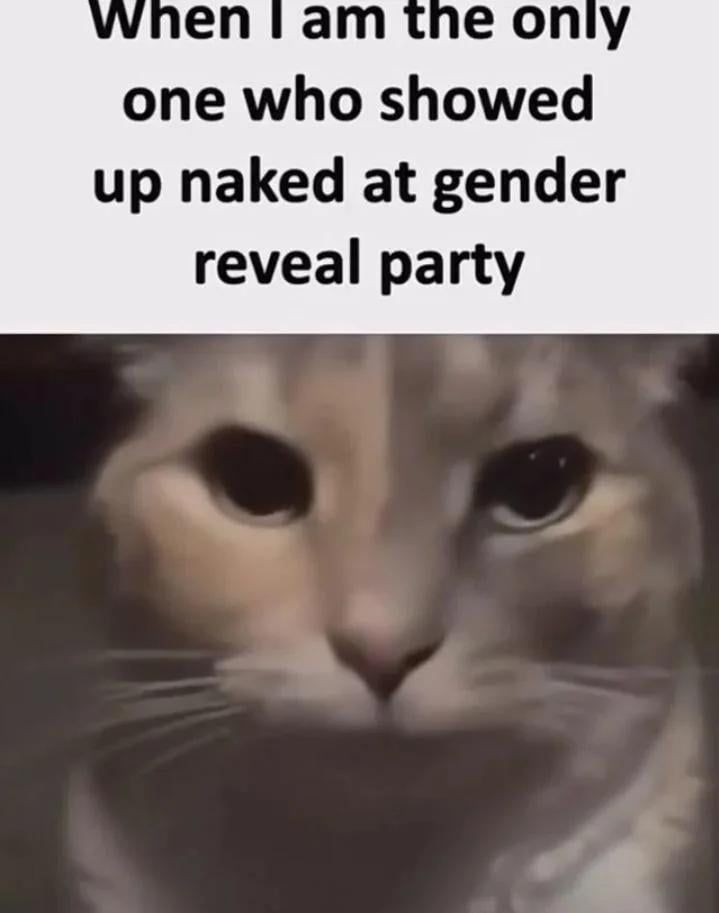 ⠀⠀⠀