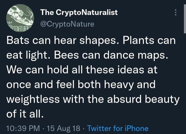 But big-ass monkey isn't real :(