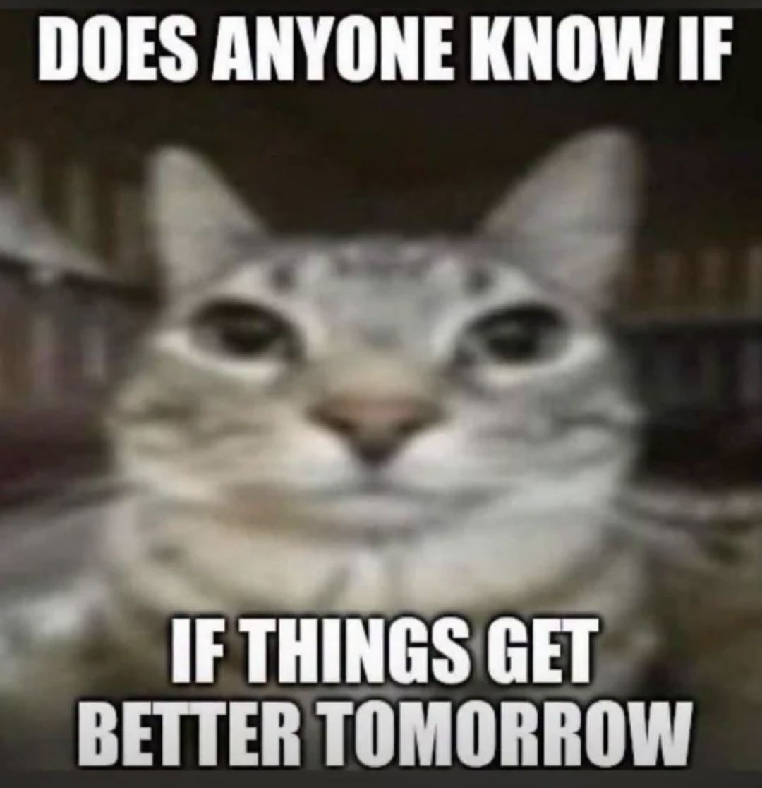 Maybe