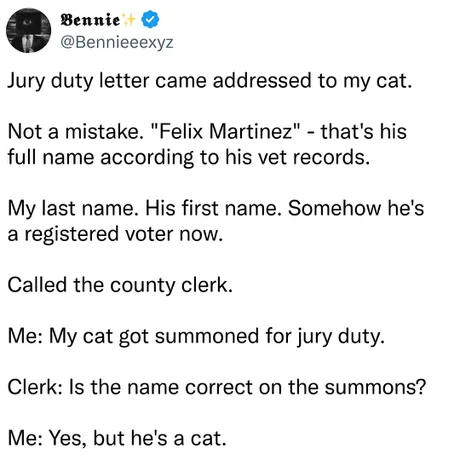 A cat is fine