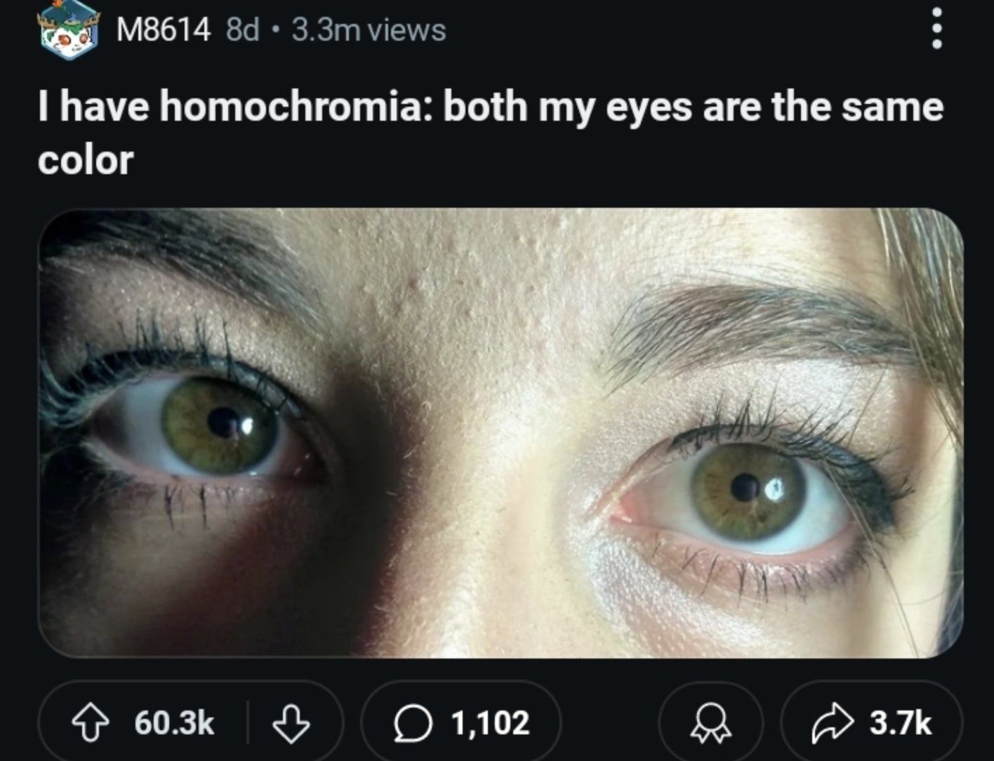 dbfhgvj