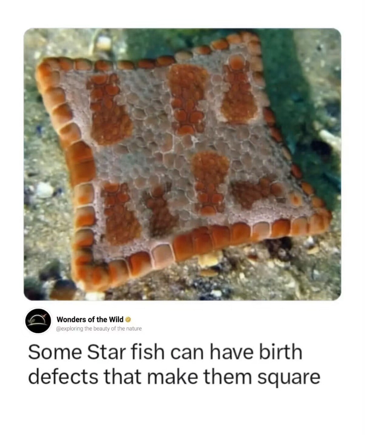 ⠀⠀⠀