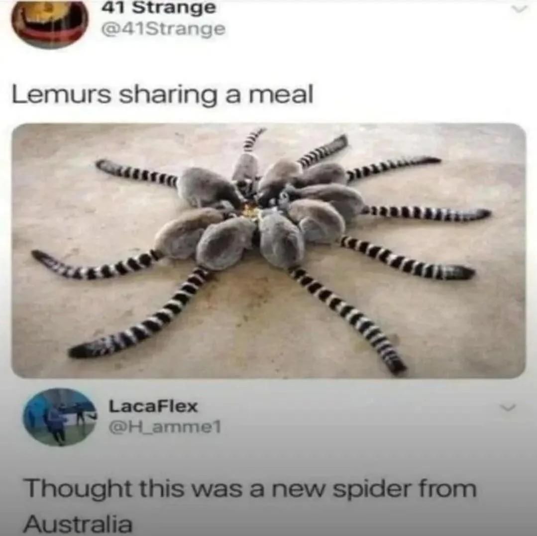 ⠀⠀⠀
