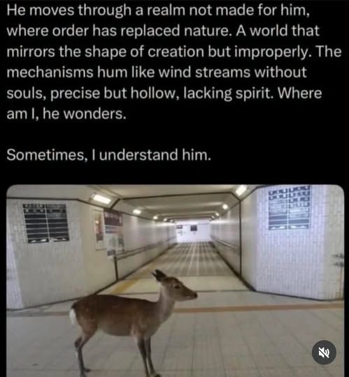 Me too, small deer thing