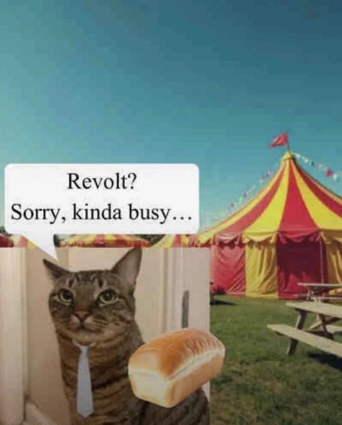 tasty bread