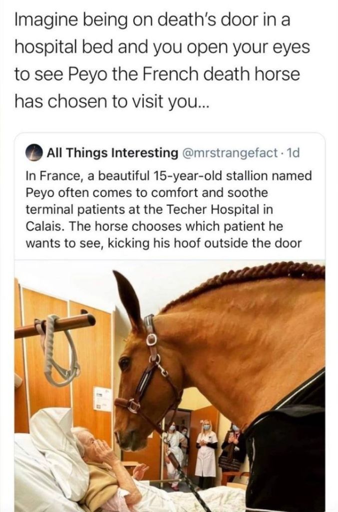 I can't wait to met my death hores