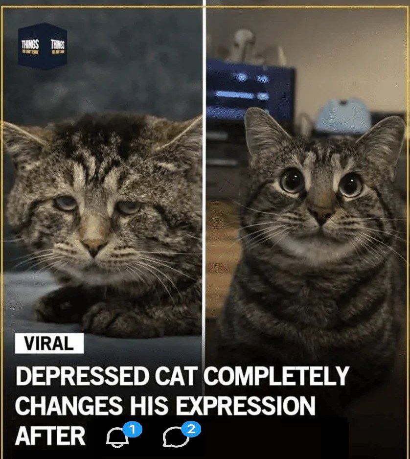 ***