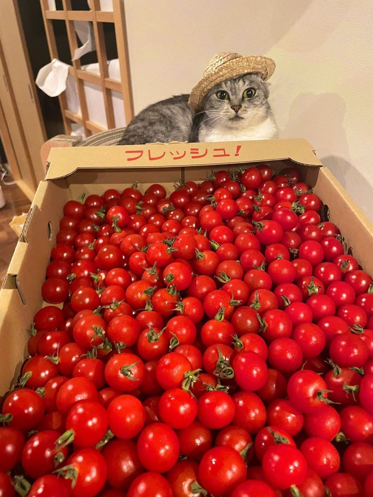 Fruitful endeavours