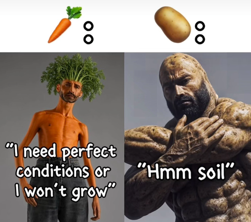 Mmmh patatas