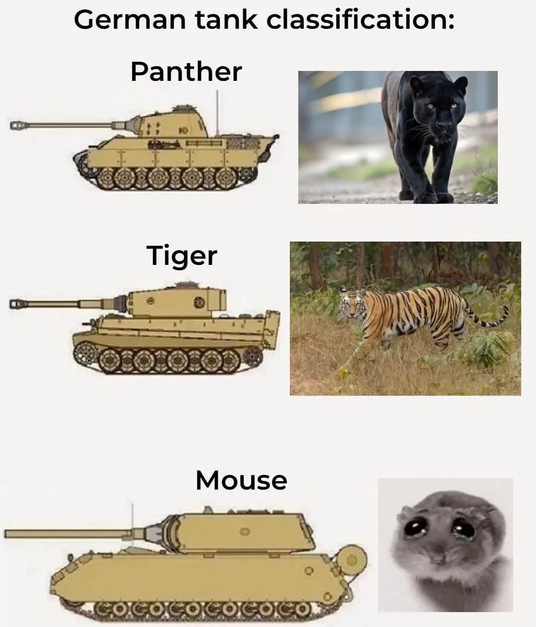 ⠀⠀⠀