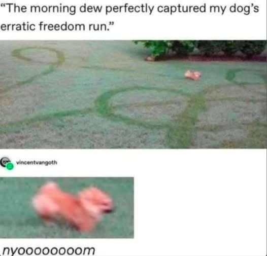 Skrrrt