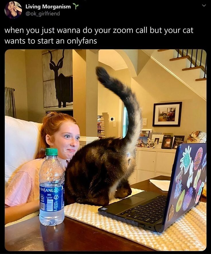 ⠀⠀⠀
