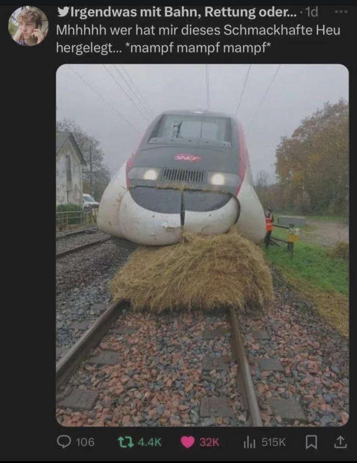 Humor that transcends language