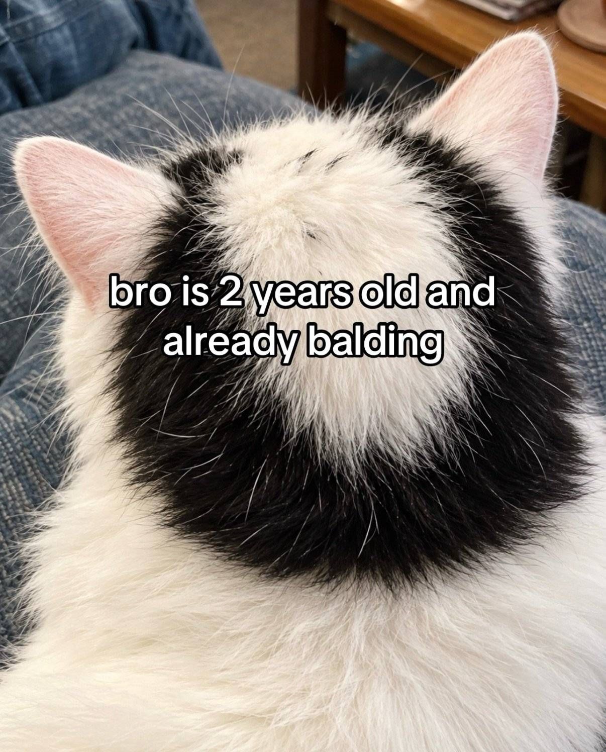 Upmudder
