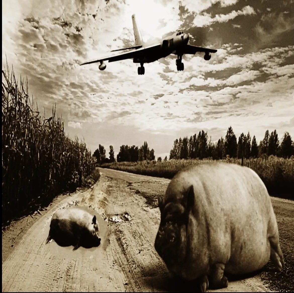 We cant stop here, its Nihlus country