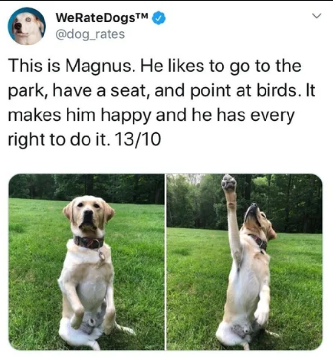 that dog ain't "pointing"