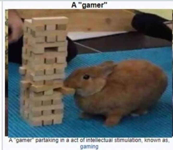 This is what a pro looks like