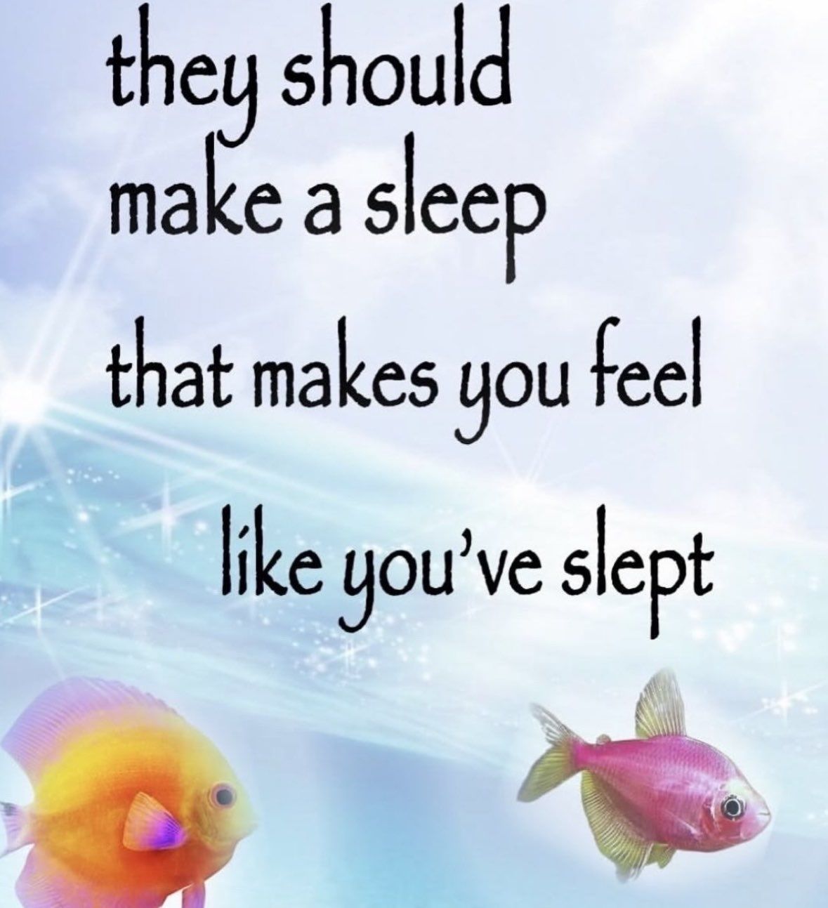 gm.