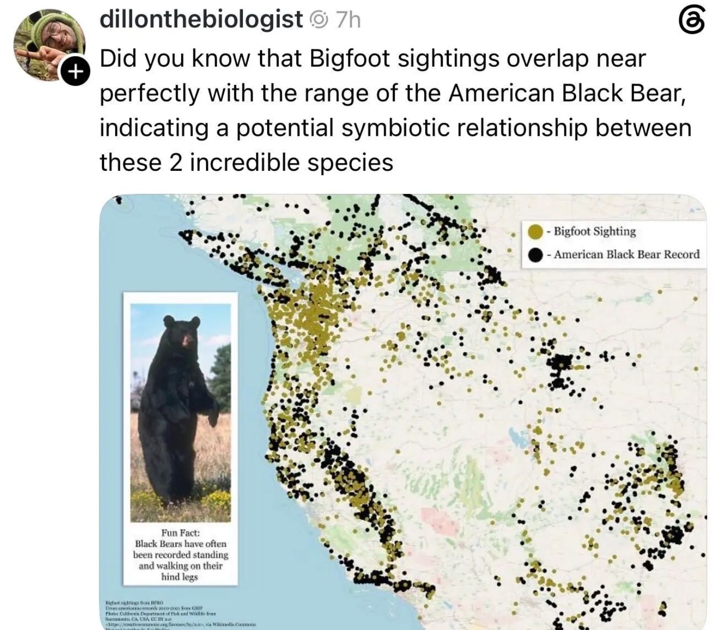 Bigfoot is the world's largest Penguin species.