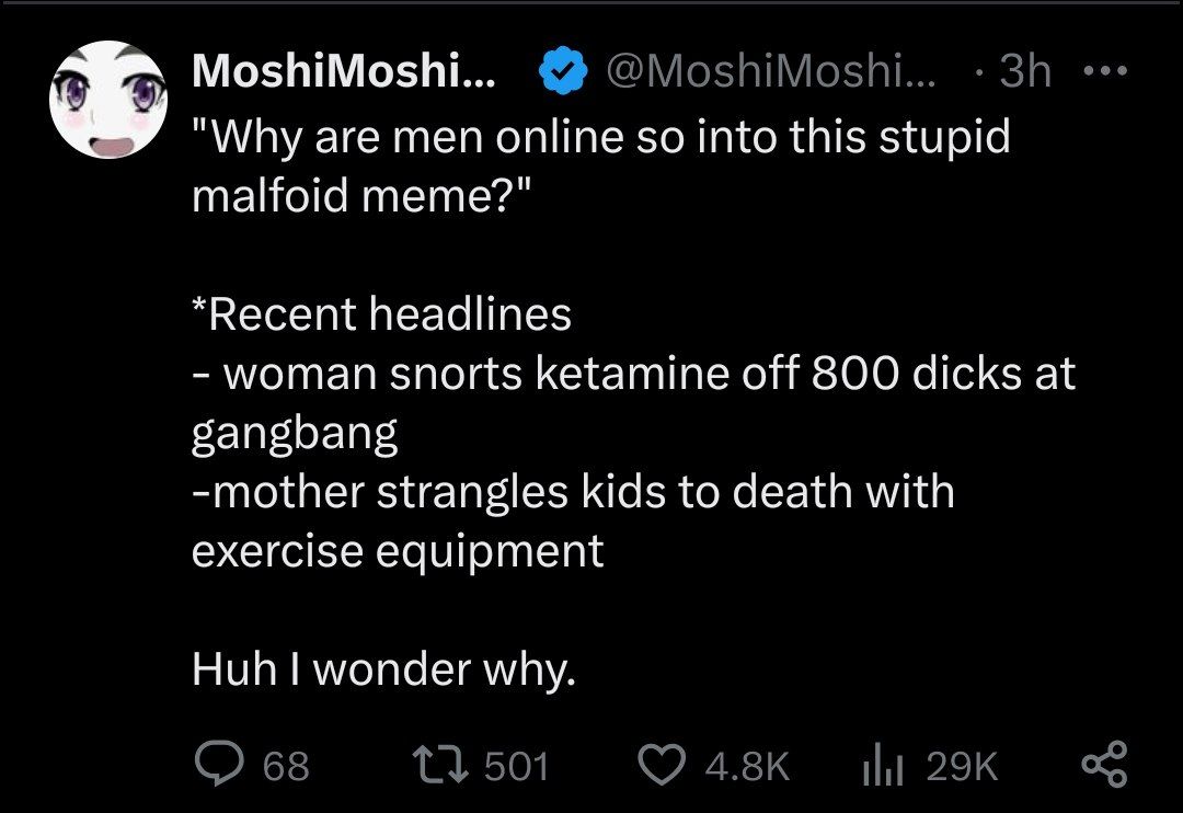 curiosity killed the cat