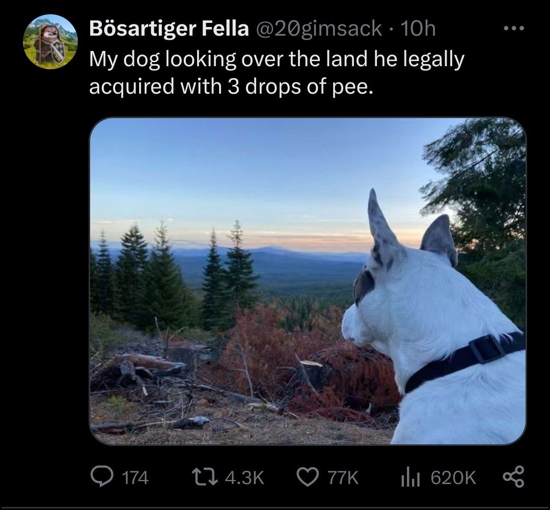 he owns more land than me