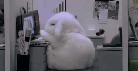 GN Hugeroll honksmihonksmihonksmihonksmihonksmihonksmi