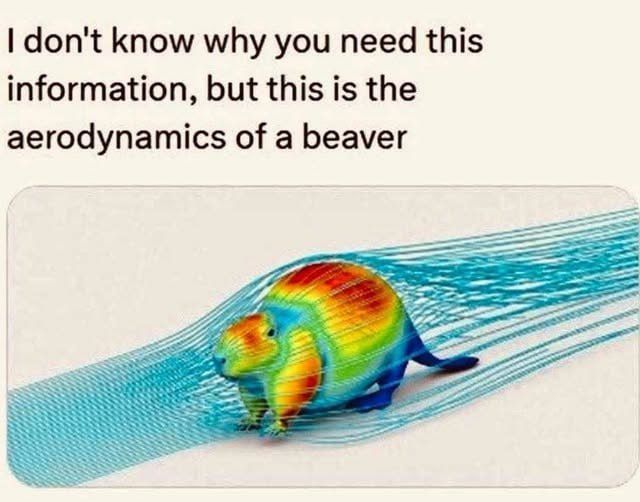 optimized by evolution