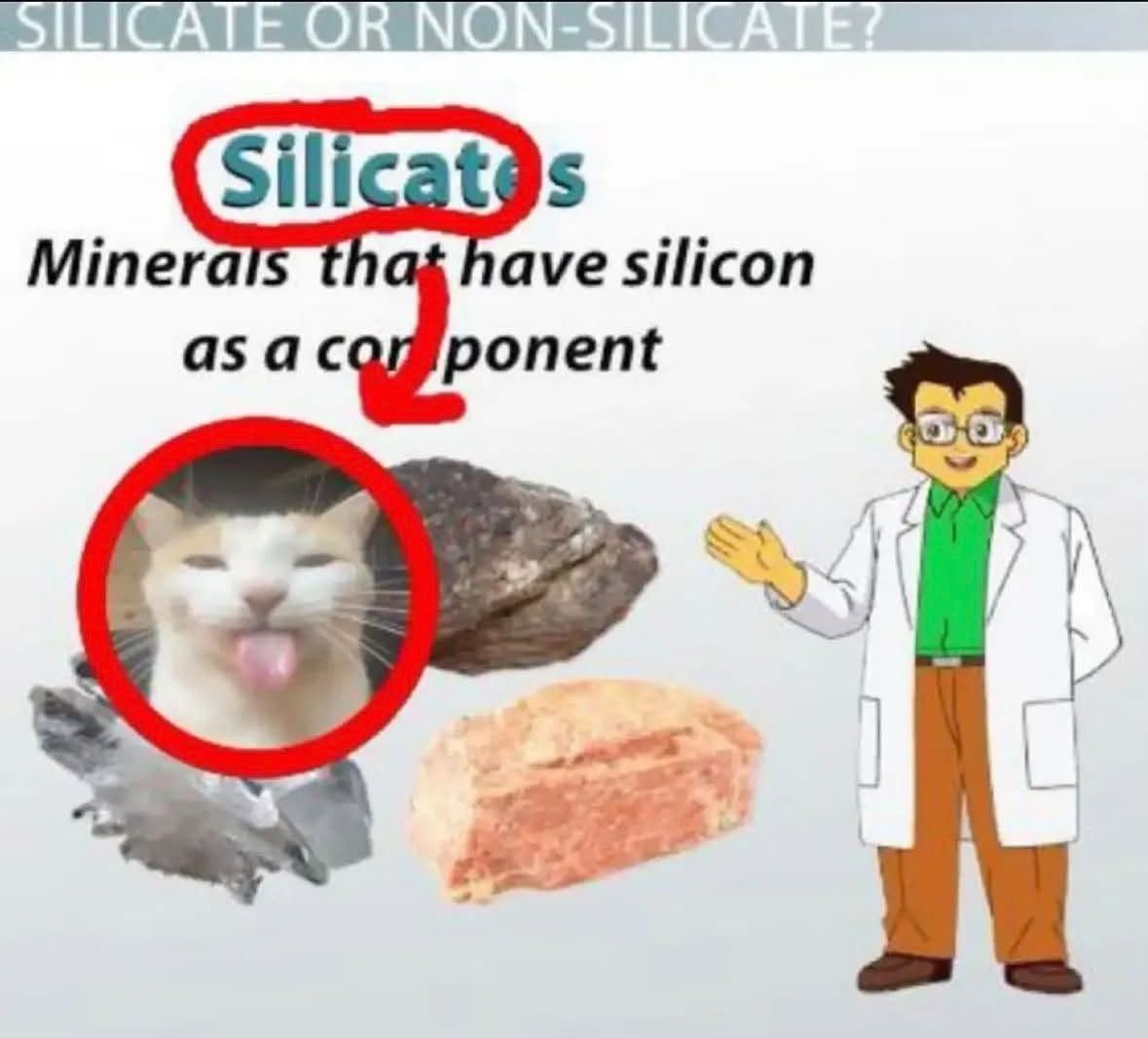 Official pronounciation