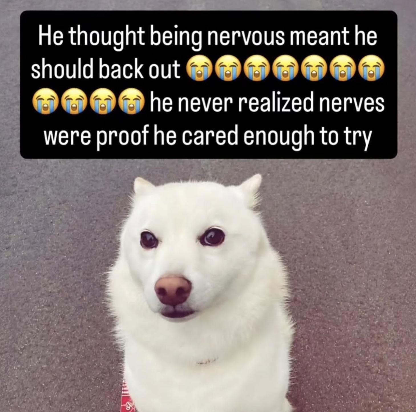 ;_;