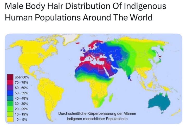 The mediterranean Yeti genes in effect
