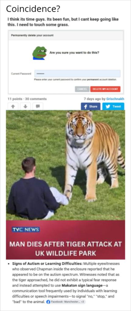 Bad tiger