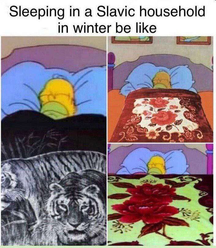 Average GN Blyat
