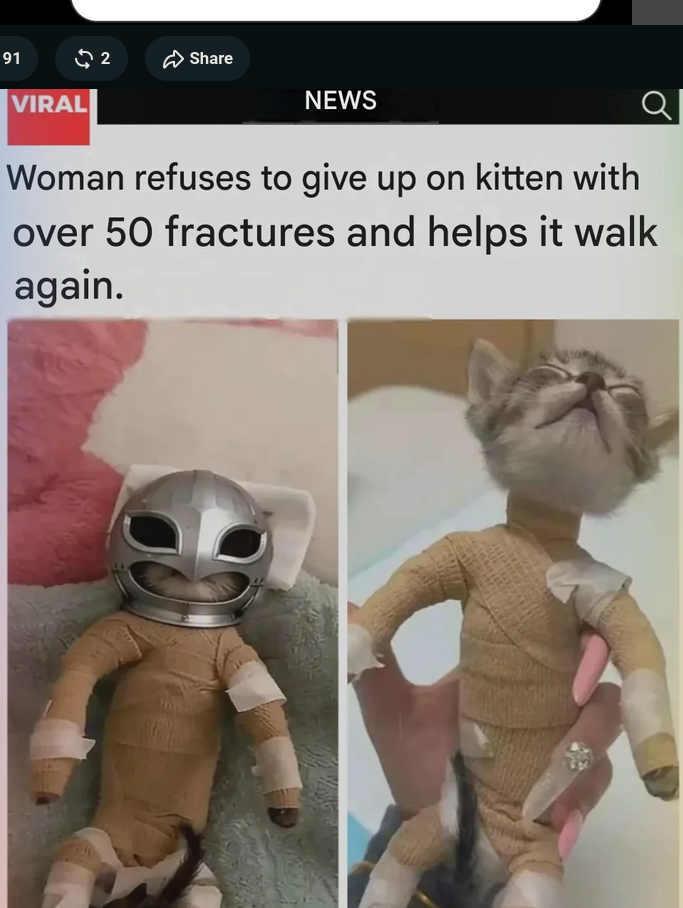 Cattifith
