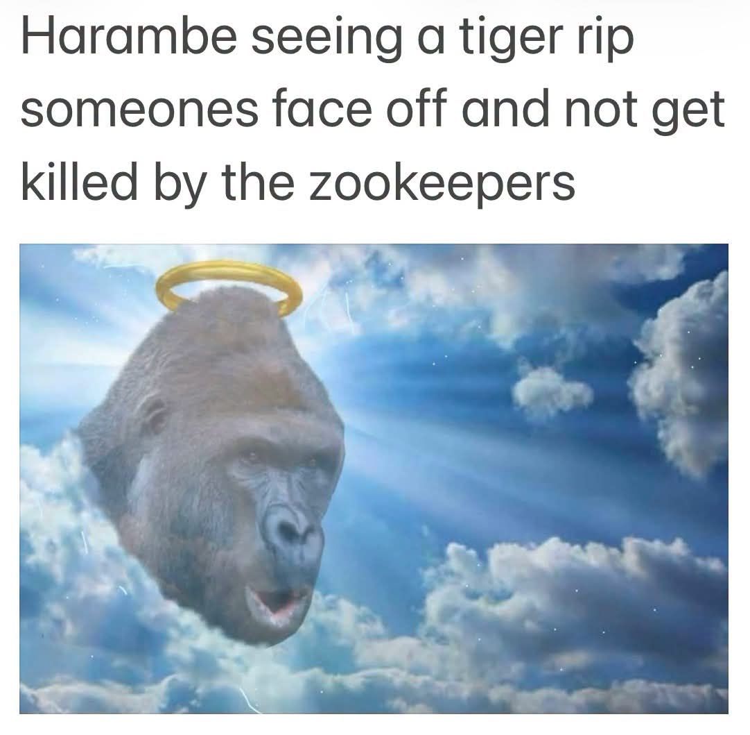 ***