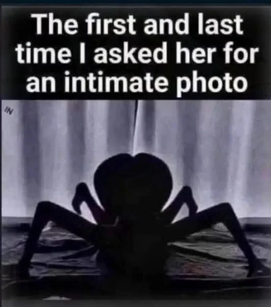 ⠀⠀⠀