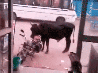 Can i ride this?