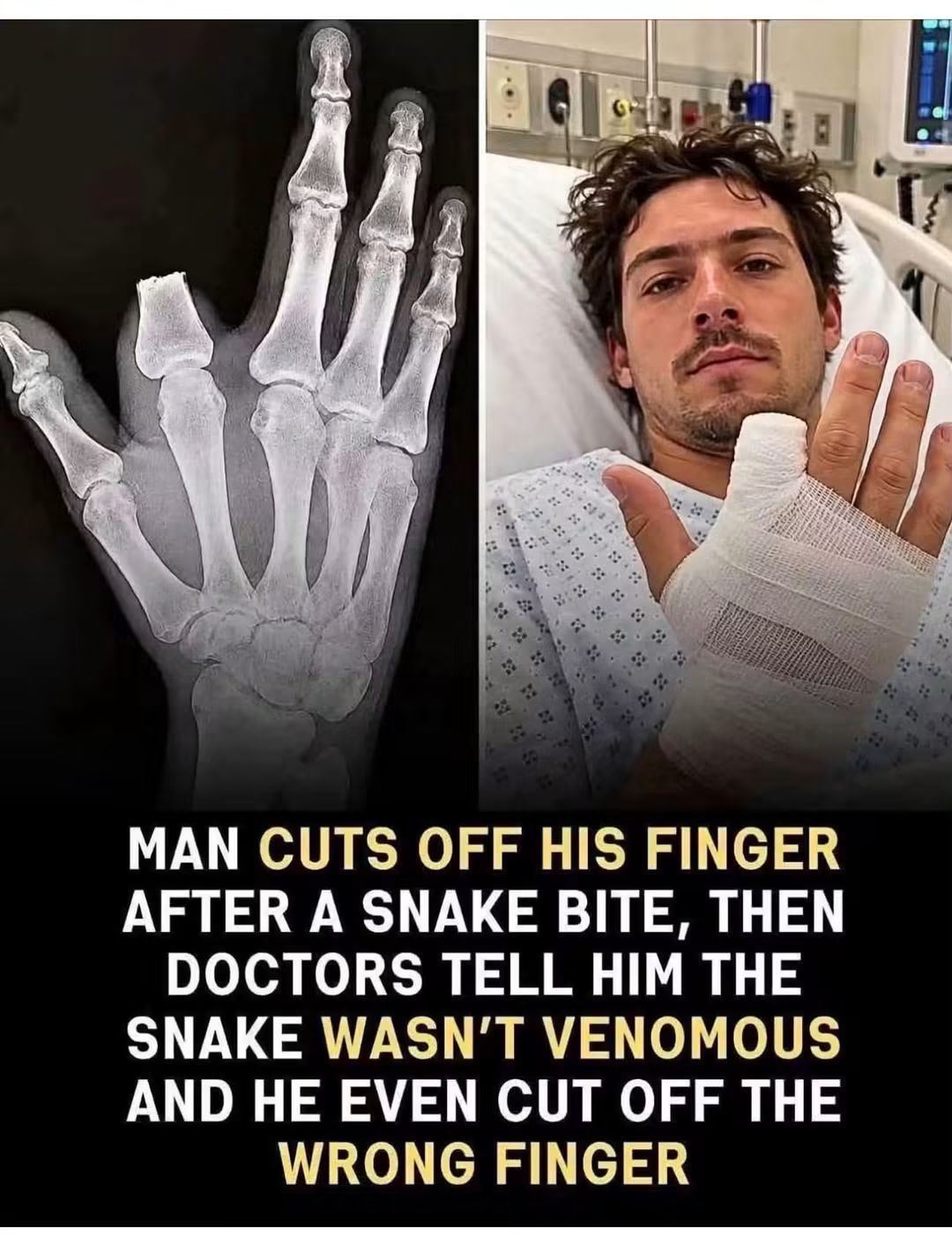 Which one of us was this?